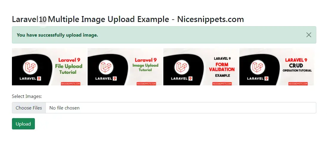 Laravel 10 Multiple Image Upload Example